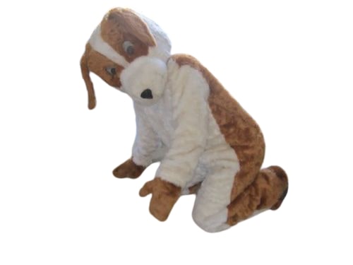 Mascot Costume