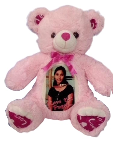 Animal Soft Toy-Personalized Teddy Bear with Photo