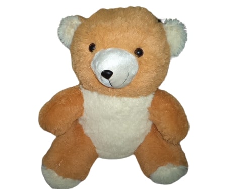 Teddy Bear