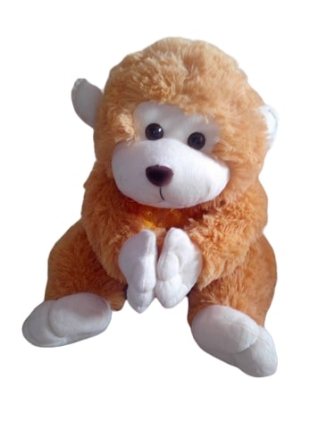 Monkey Soft Toys