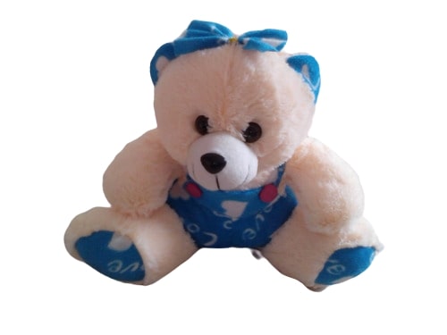 Cap Teddy Bear