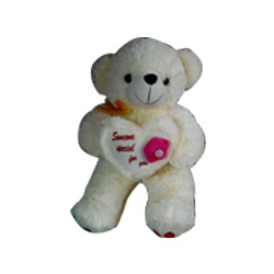 Teddy Bear Soft Toys