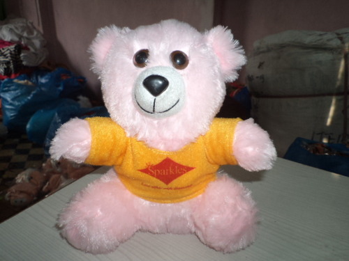 Teddy Bear with Customized