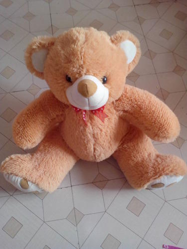 Teddy Bear