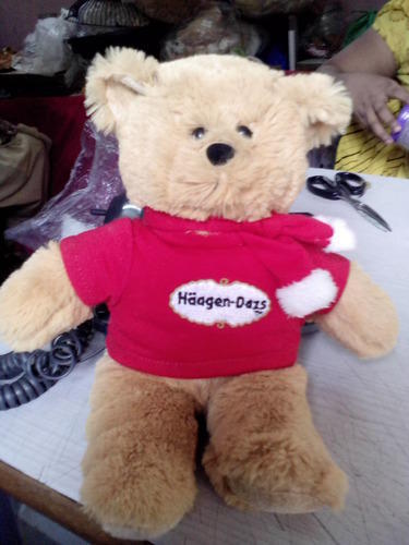Teddy with Brand