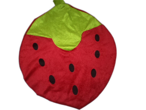 Straw Berry Pillow