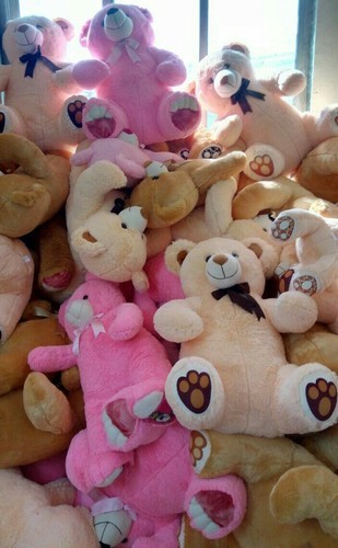 Master Bear