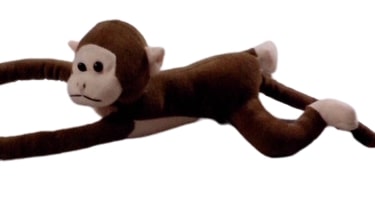 Long Monkey