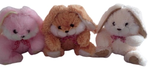Bunny Soft Toys