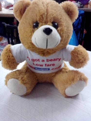Teddy Bear with Customize