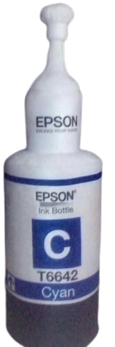 Customize Mascot Costume