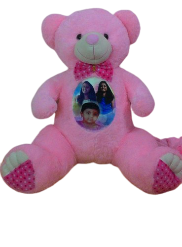 Teddy Bear with Photos